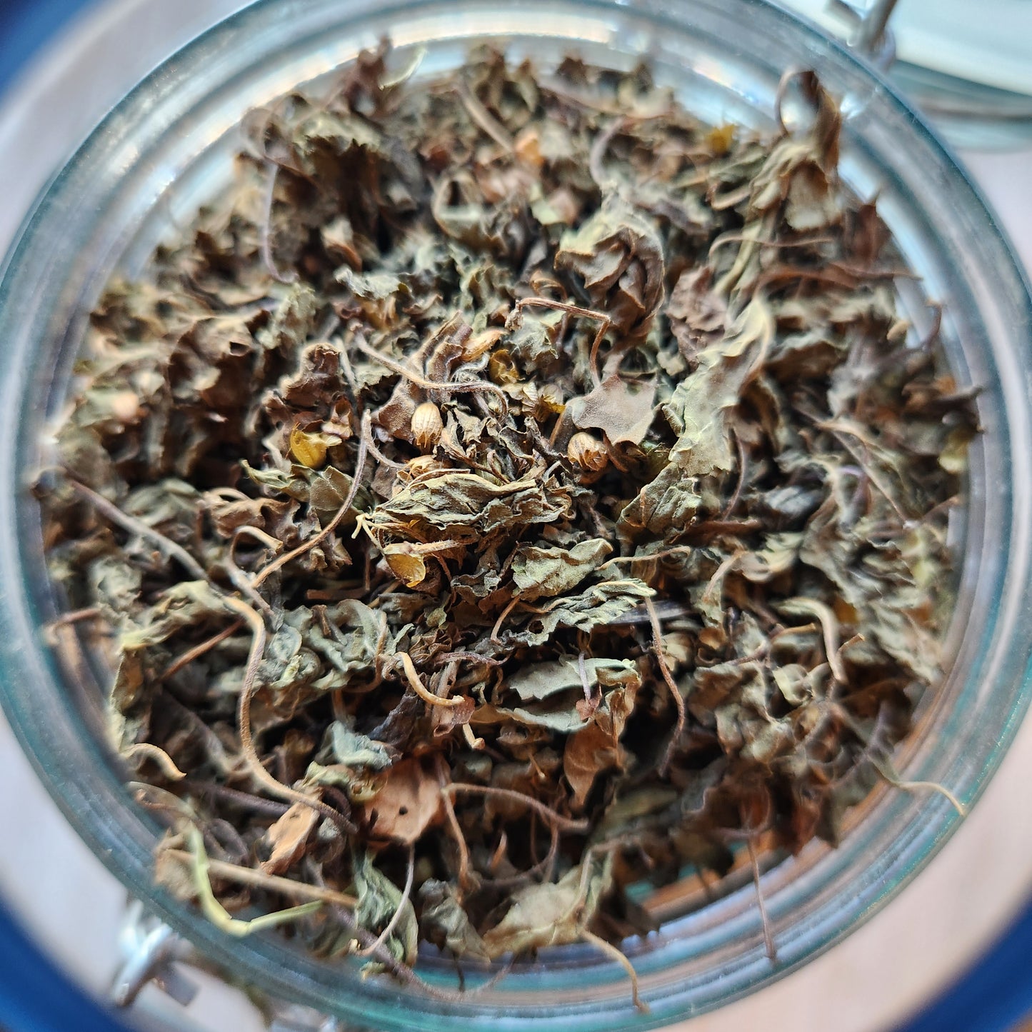 Tulsi, Uttar Pradesh, India