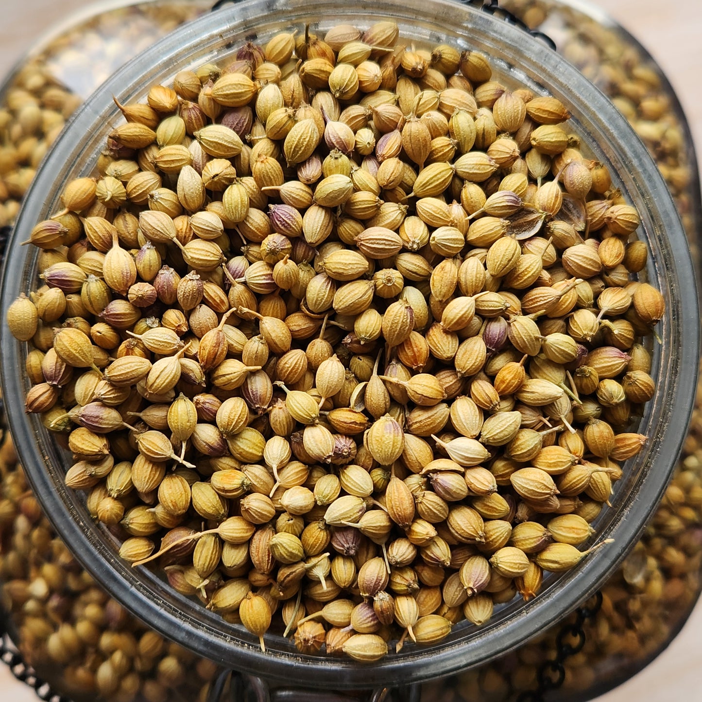 Coriander, Single Origin, India