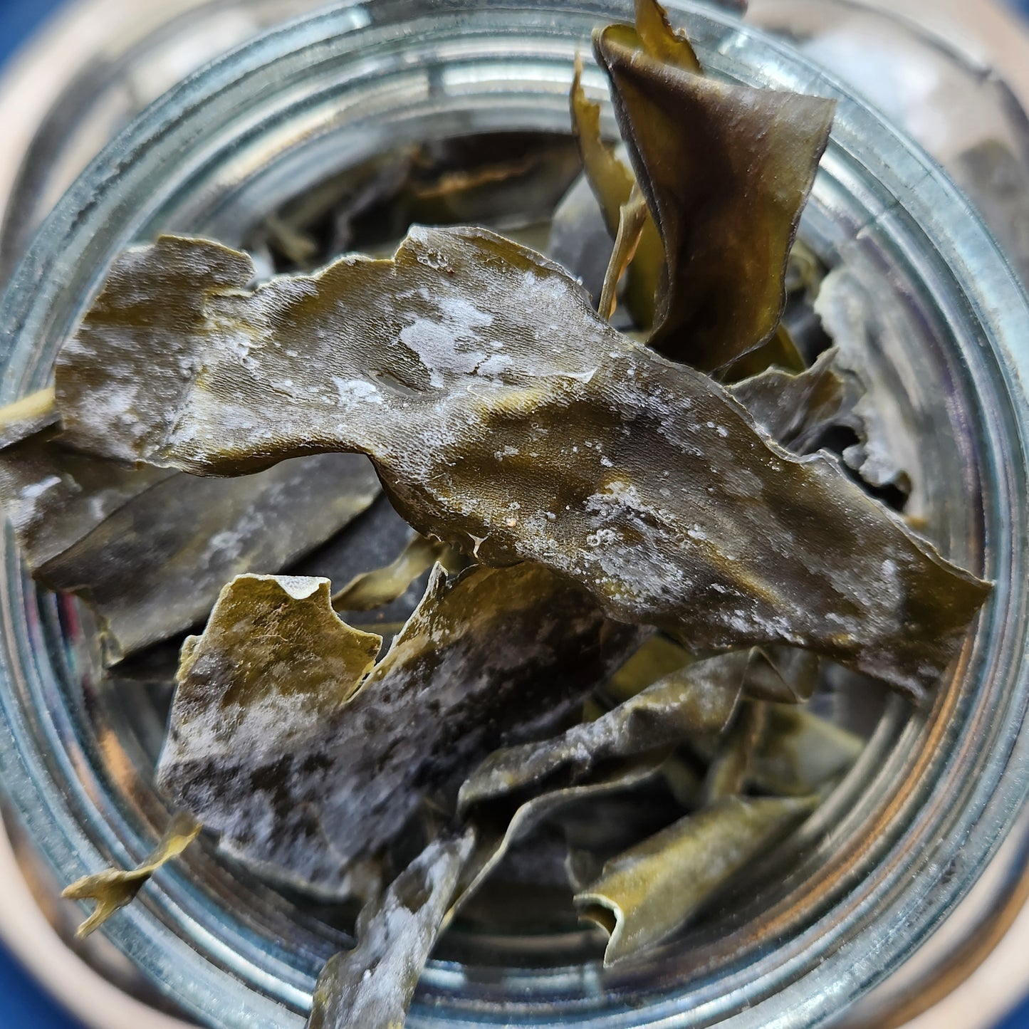 Kombu, Organic