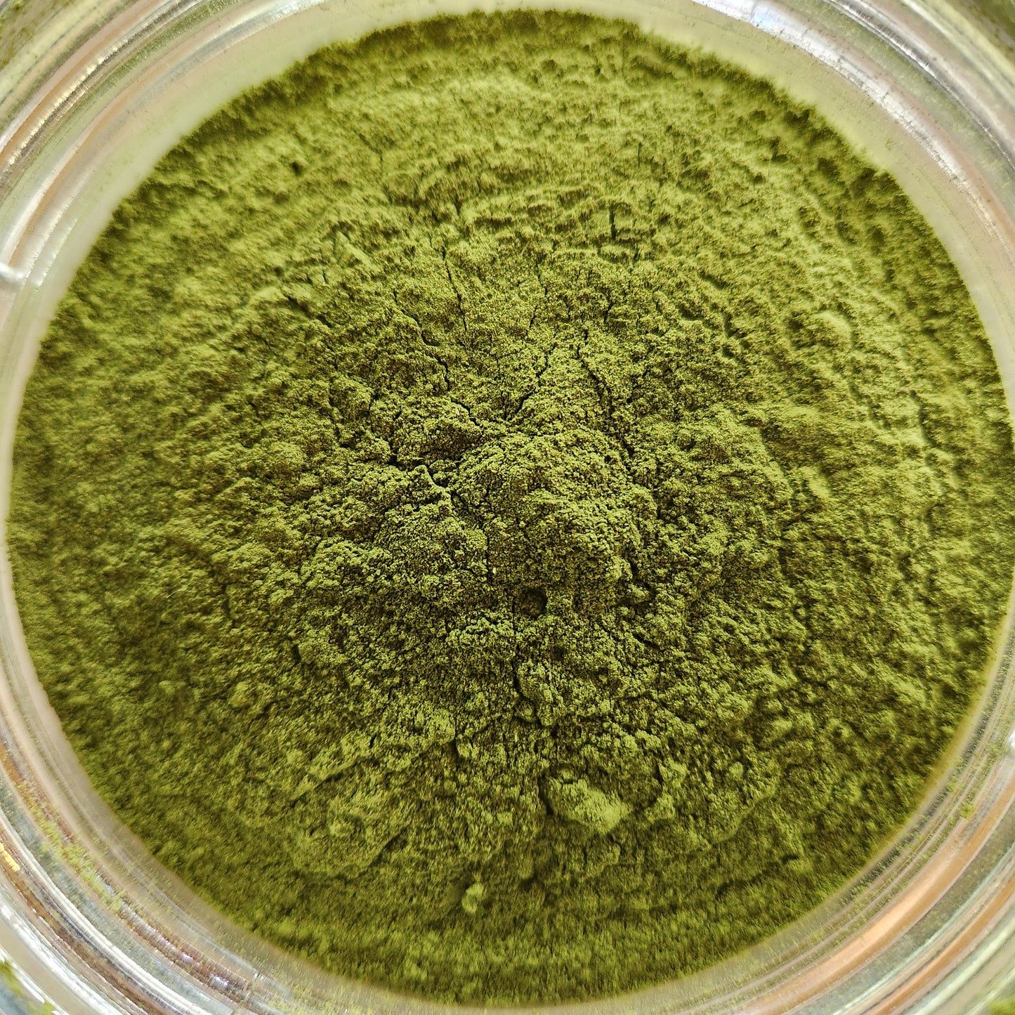 Spinach Powder, Organic