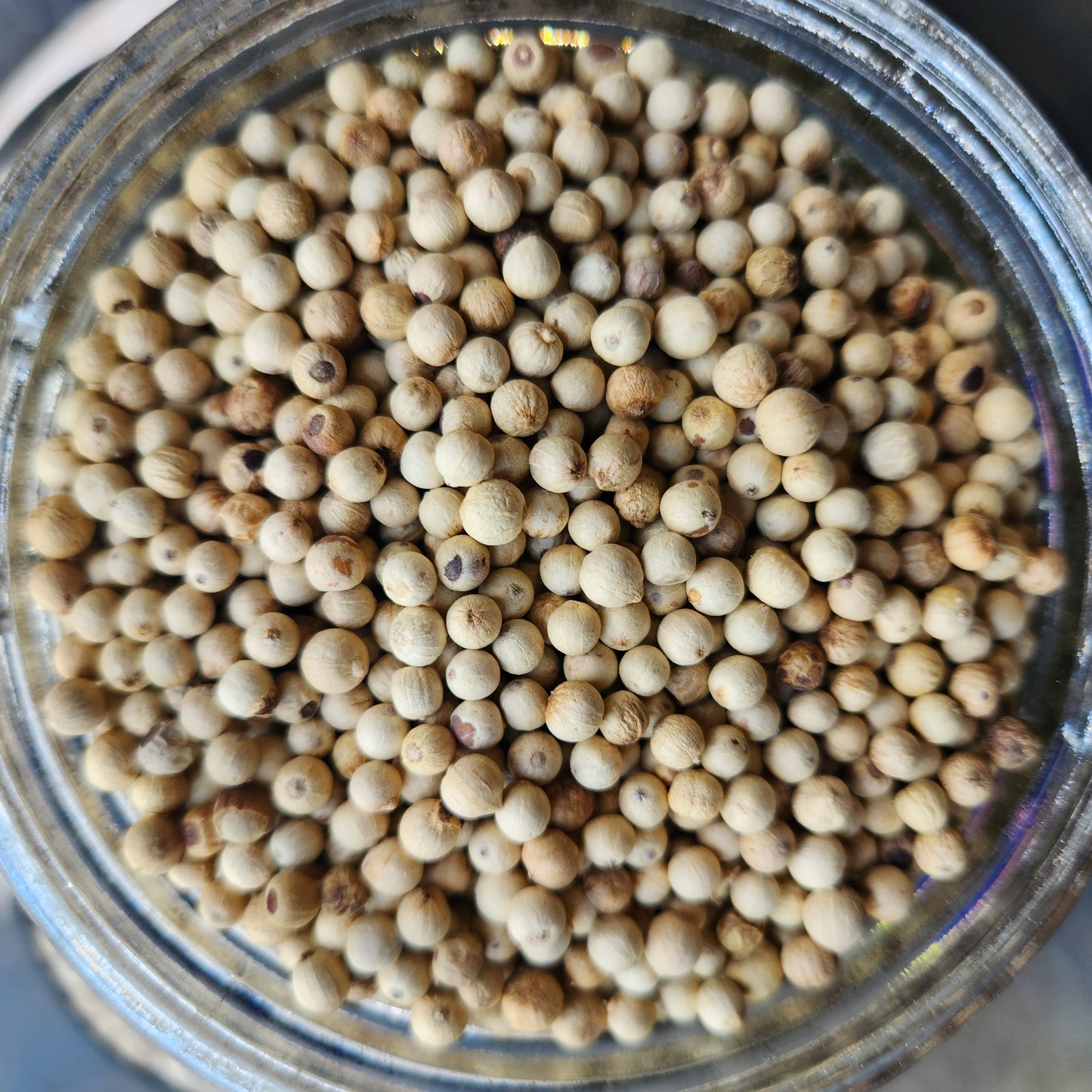 White Peppercorn, Organic