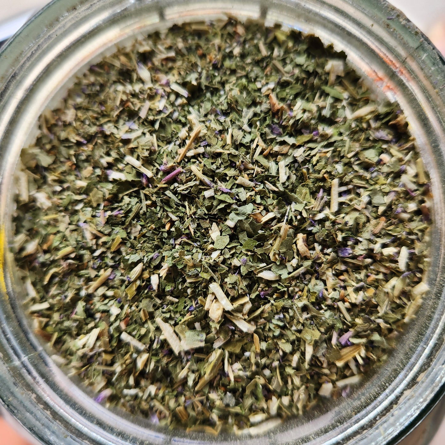 Anise Hyssop, Organic