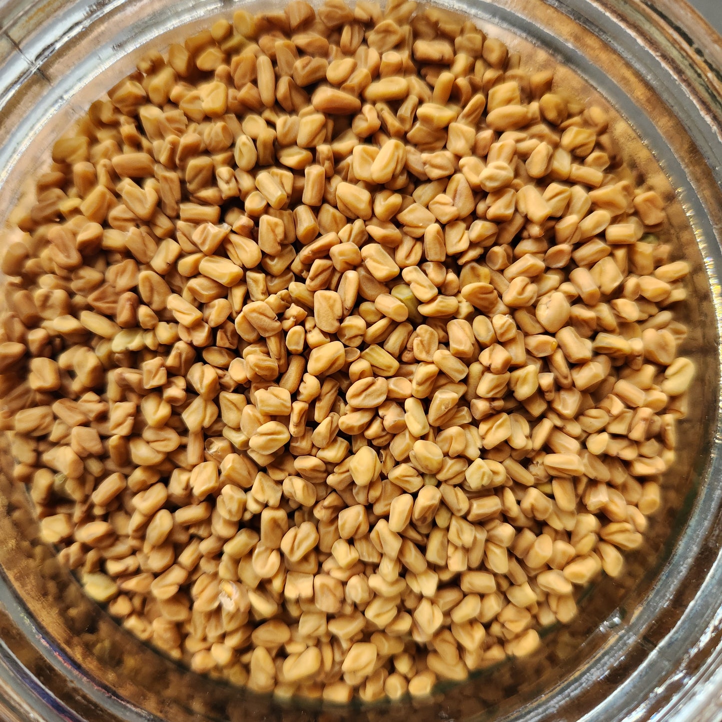 Fenugreek Seed, Single Origin, India