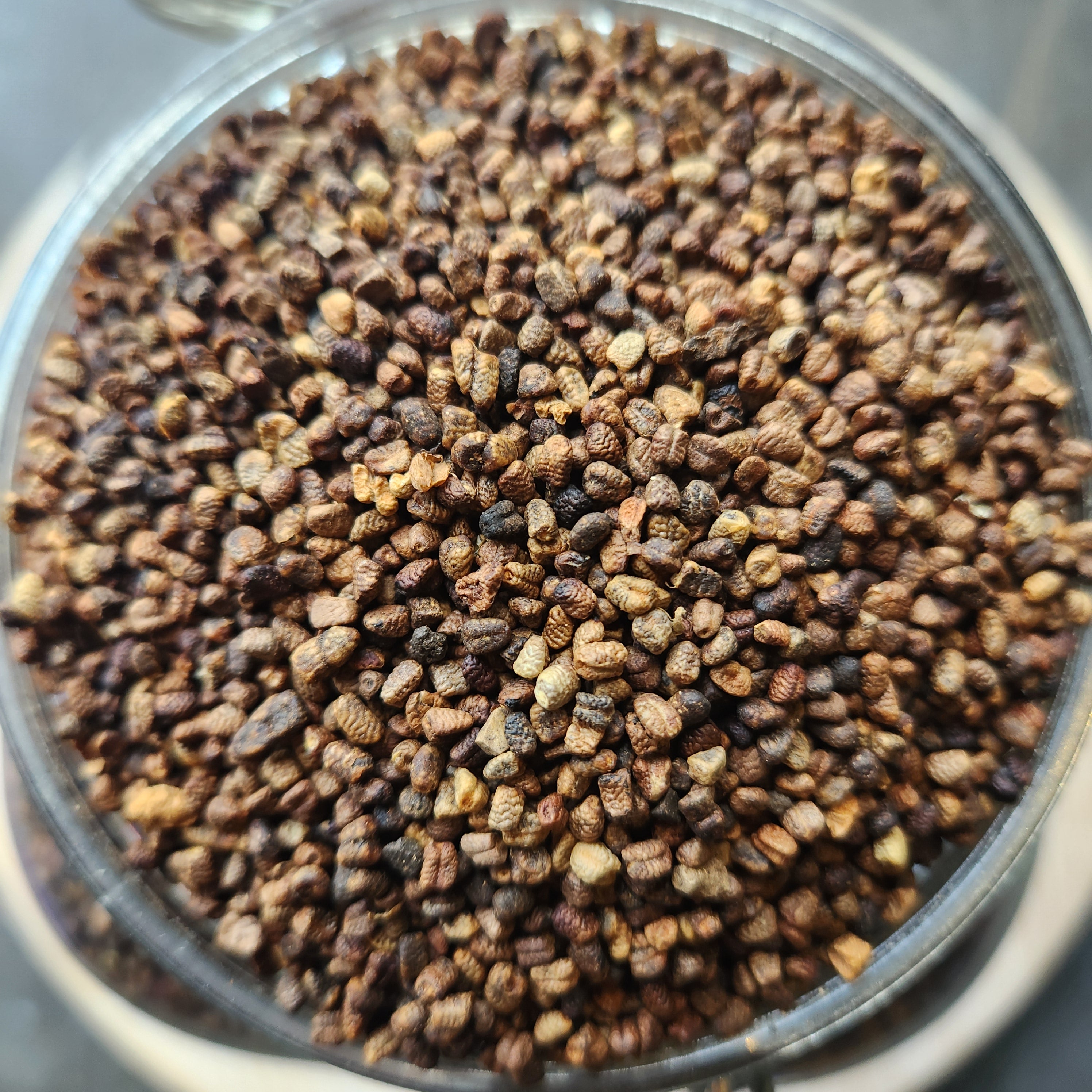 cardamom seeds for planting Cardamom Seeds, Green, Single Origin, Guatemala Ounce, Whole Seeds