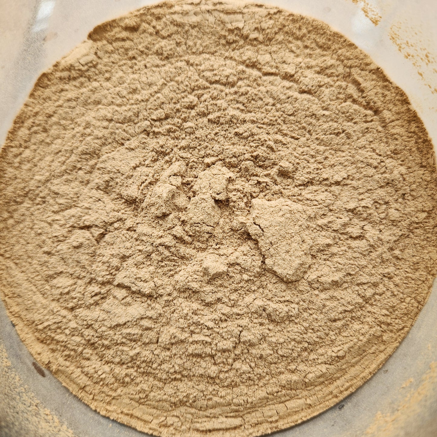 Shiitake Mushroom Powder