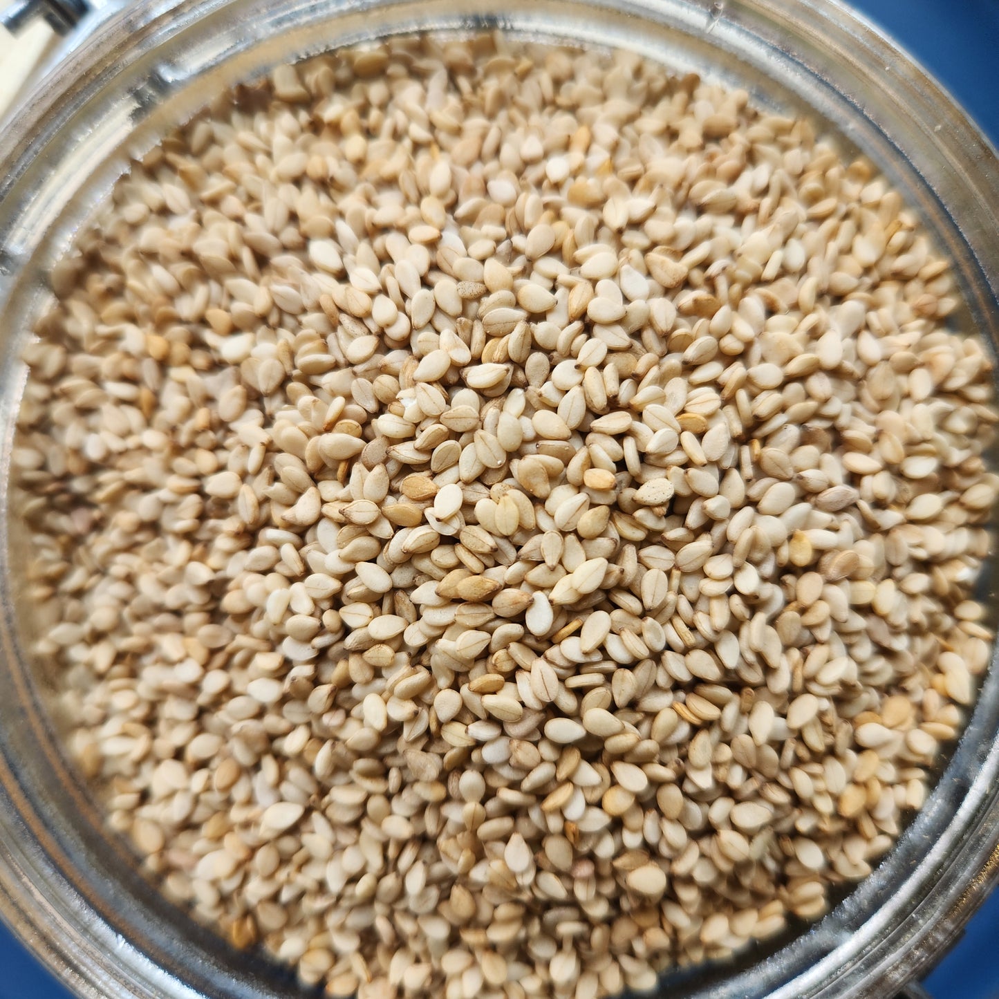 Sesame Seed, Natural, Organic