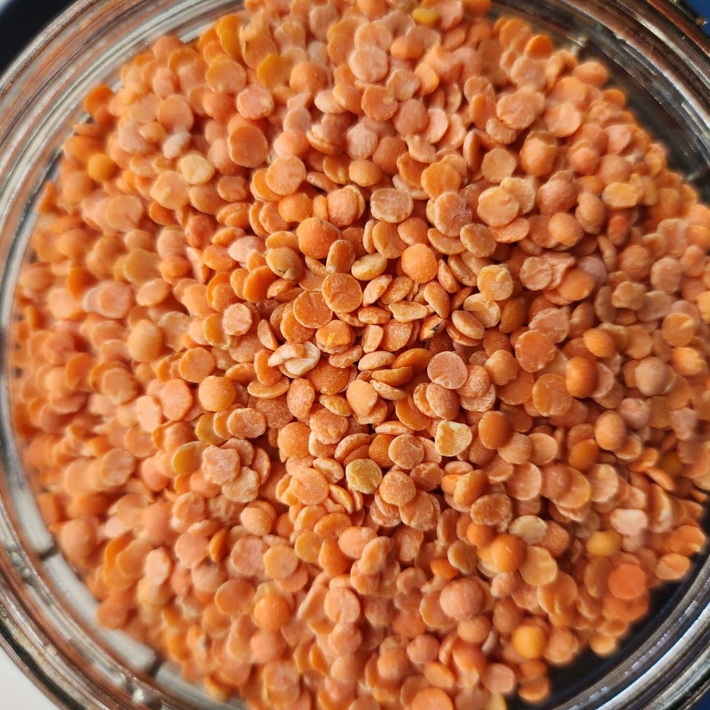 Masoor Dal, Split Red Lentils, Organic
