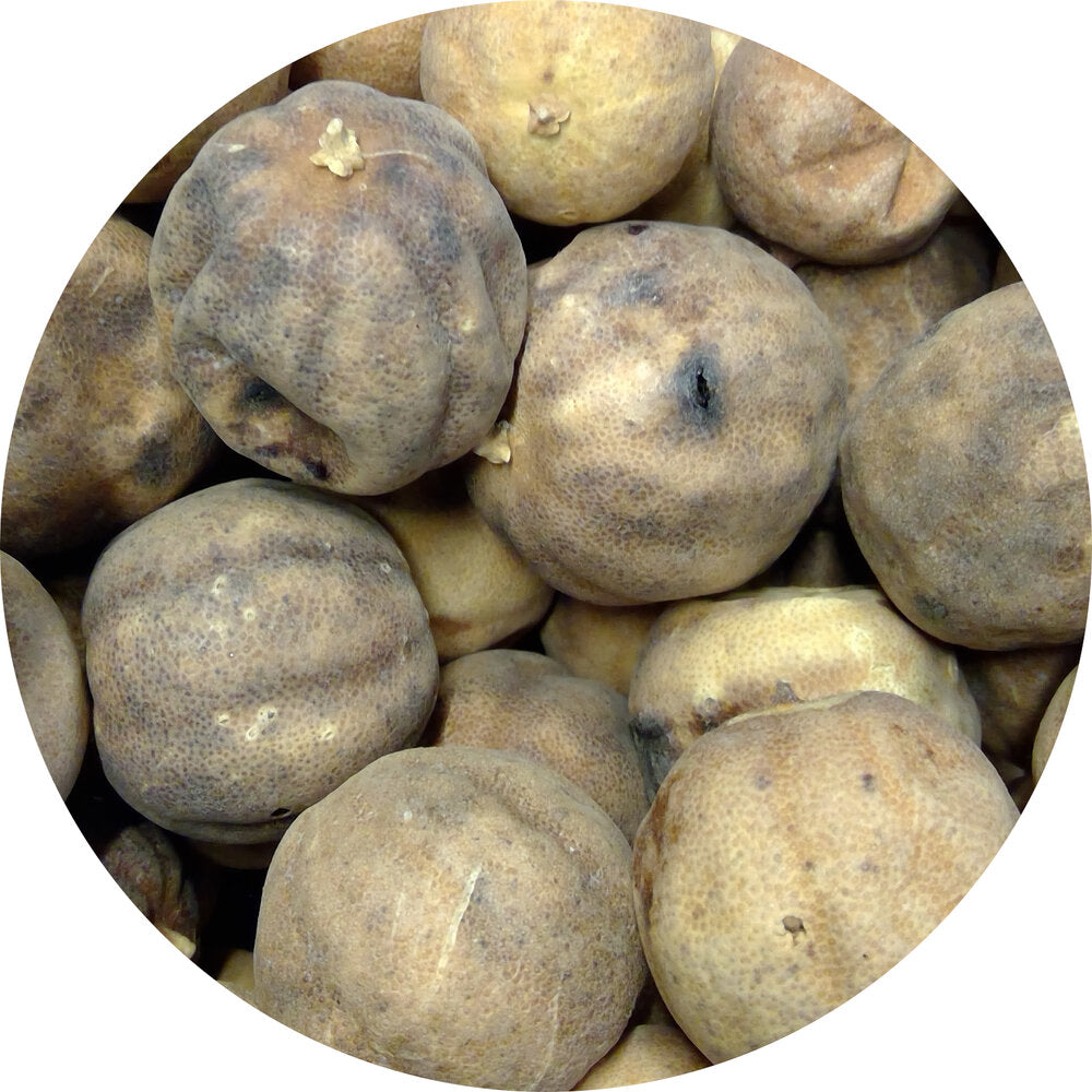 Dried Lime, Limoo Omani