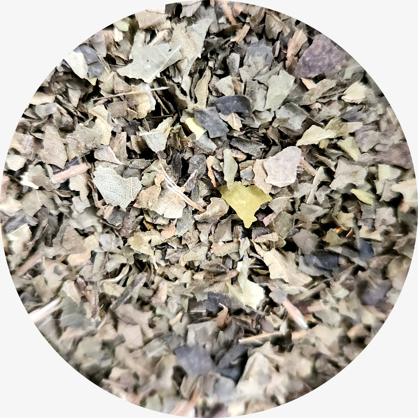 Black Walnut Leaf, Organic