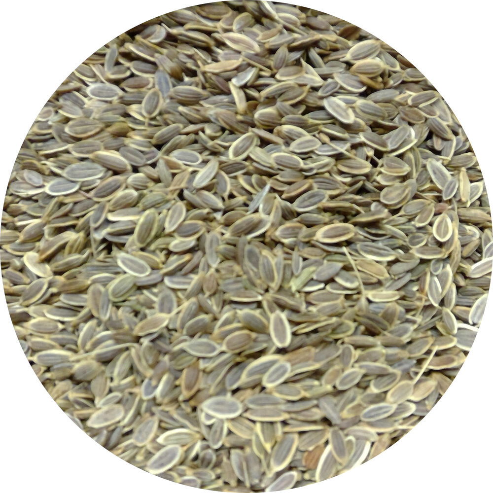 Dill Seed, Organic