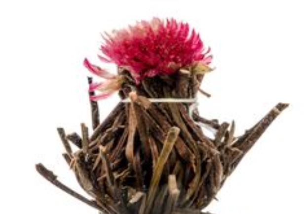 Flowering Earl Grey Bloom