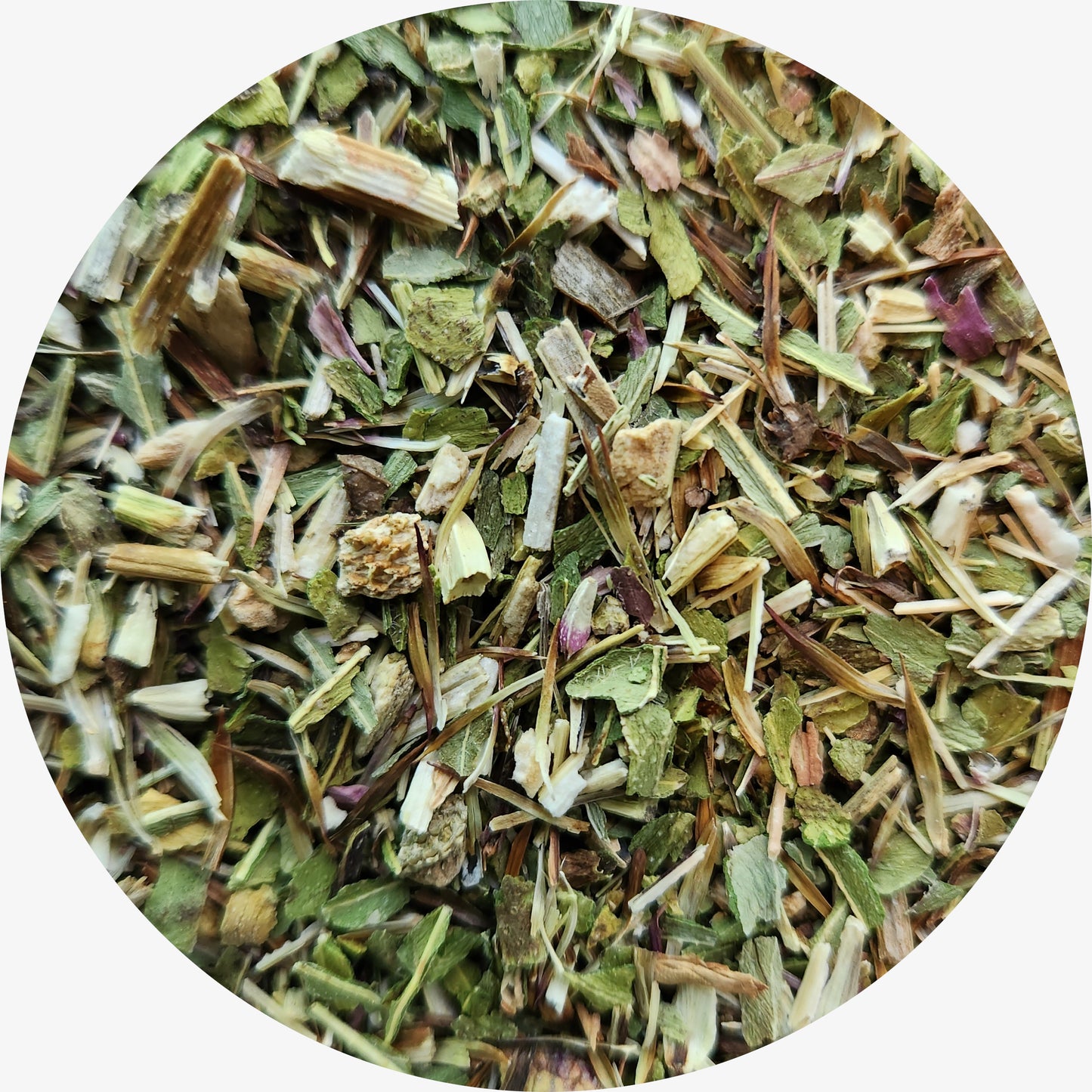 Echinacea, Angustifolia Herb, Organic