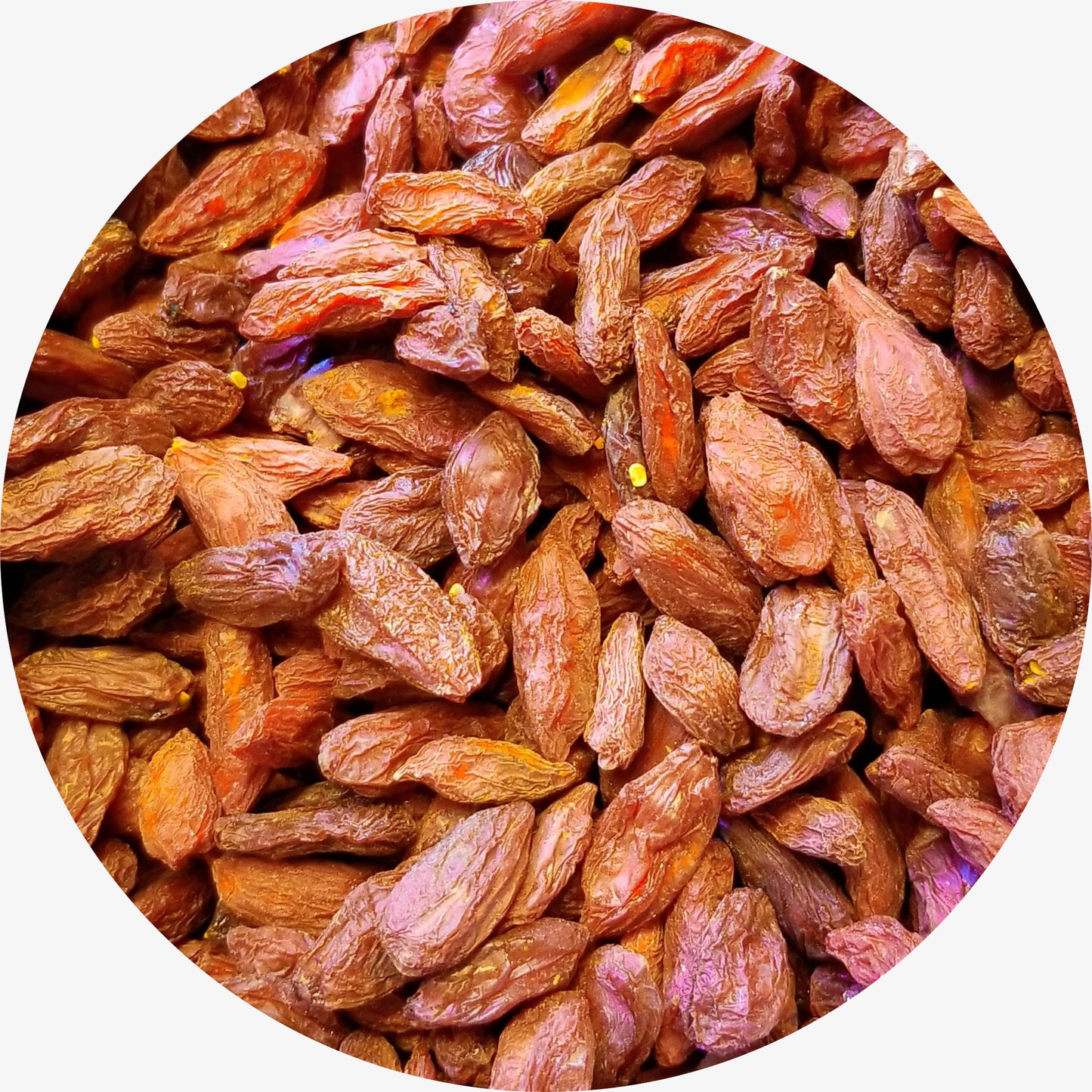 Goji Berries, Organic