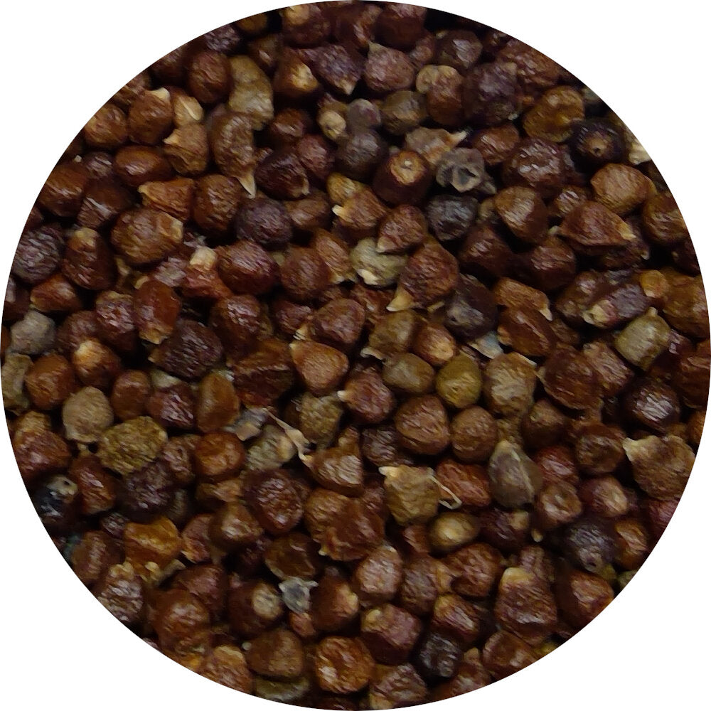 Grains of Paradise, Single Origin