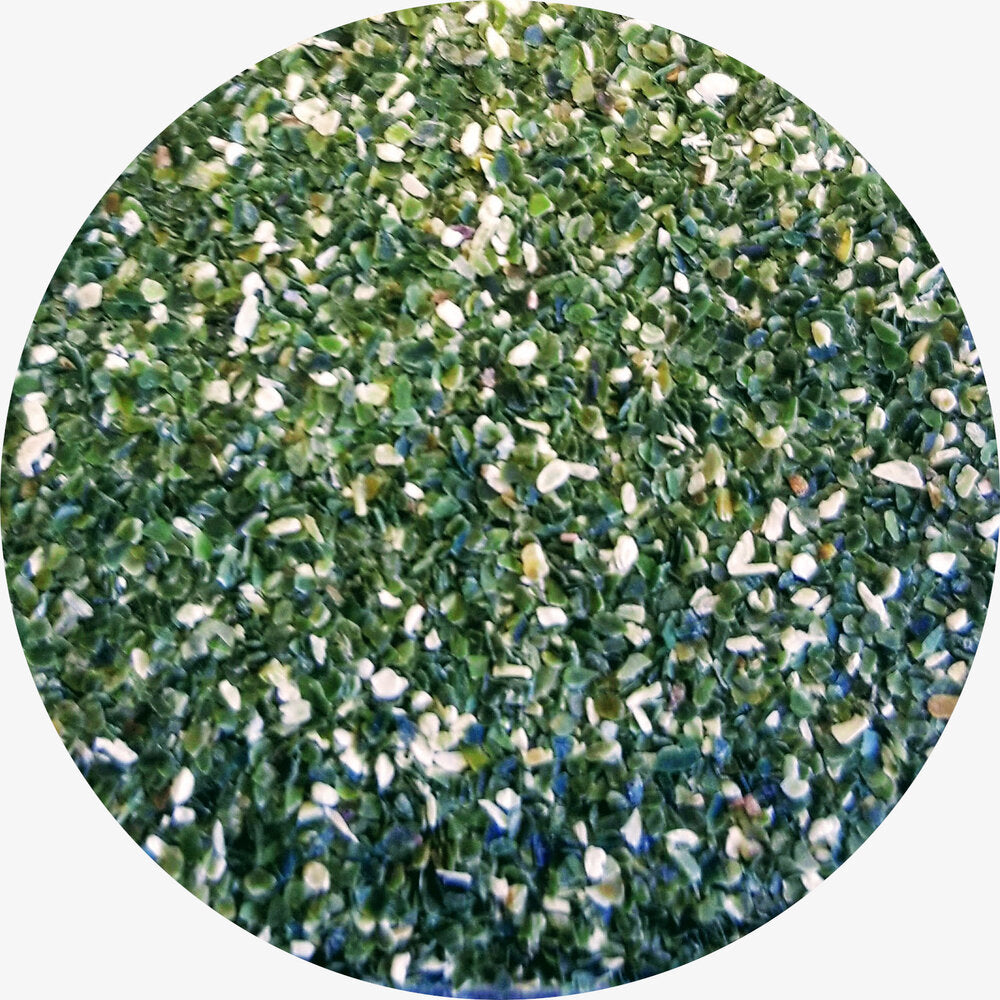 Wild Icelandic Kelp
