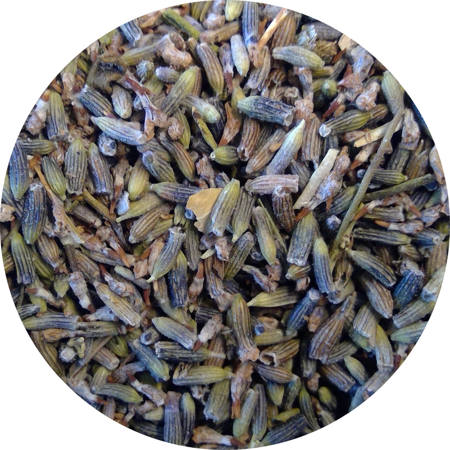 Lavender Flowers, Select, Organic