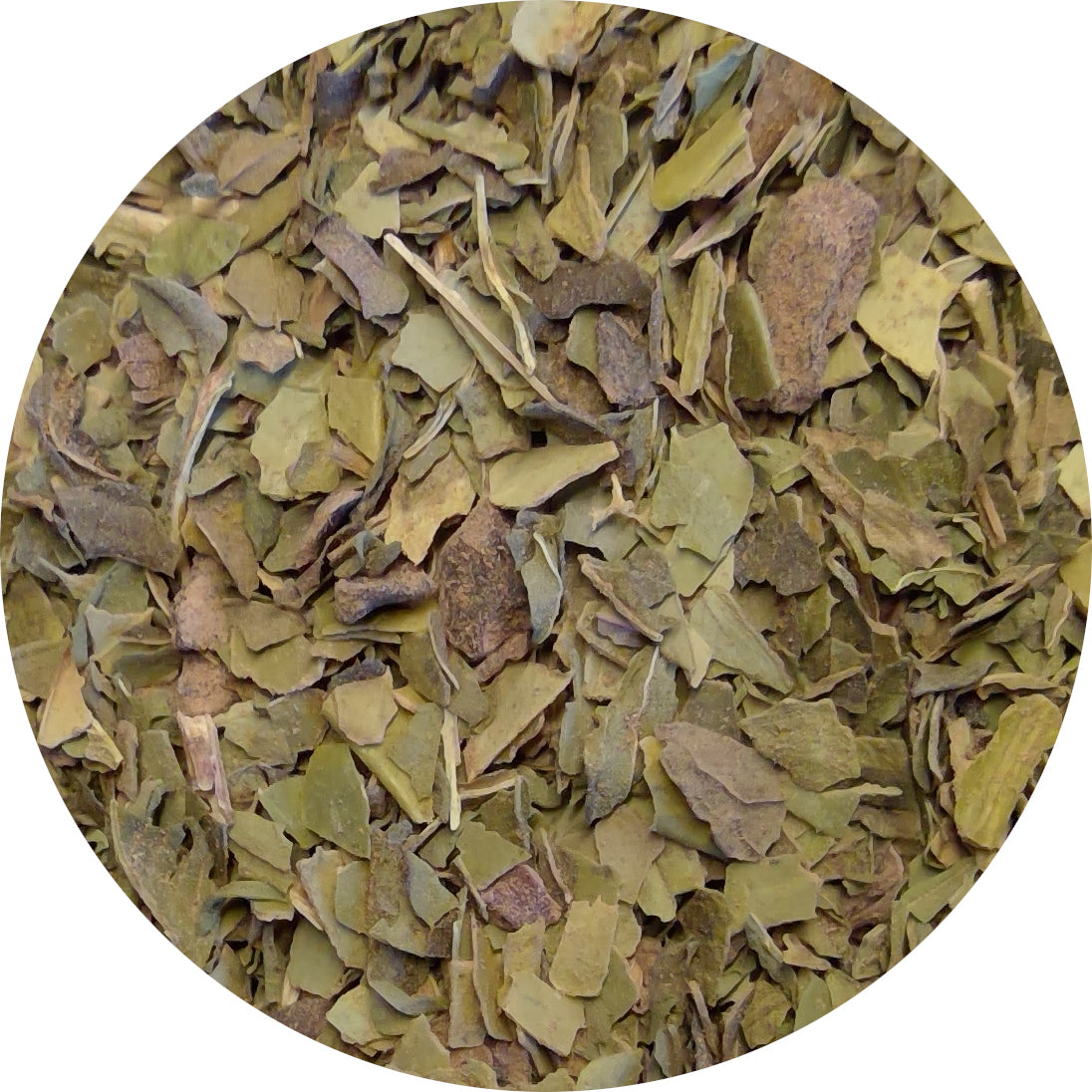 Mint Chocolate Mate, Organic, Fair Trade