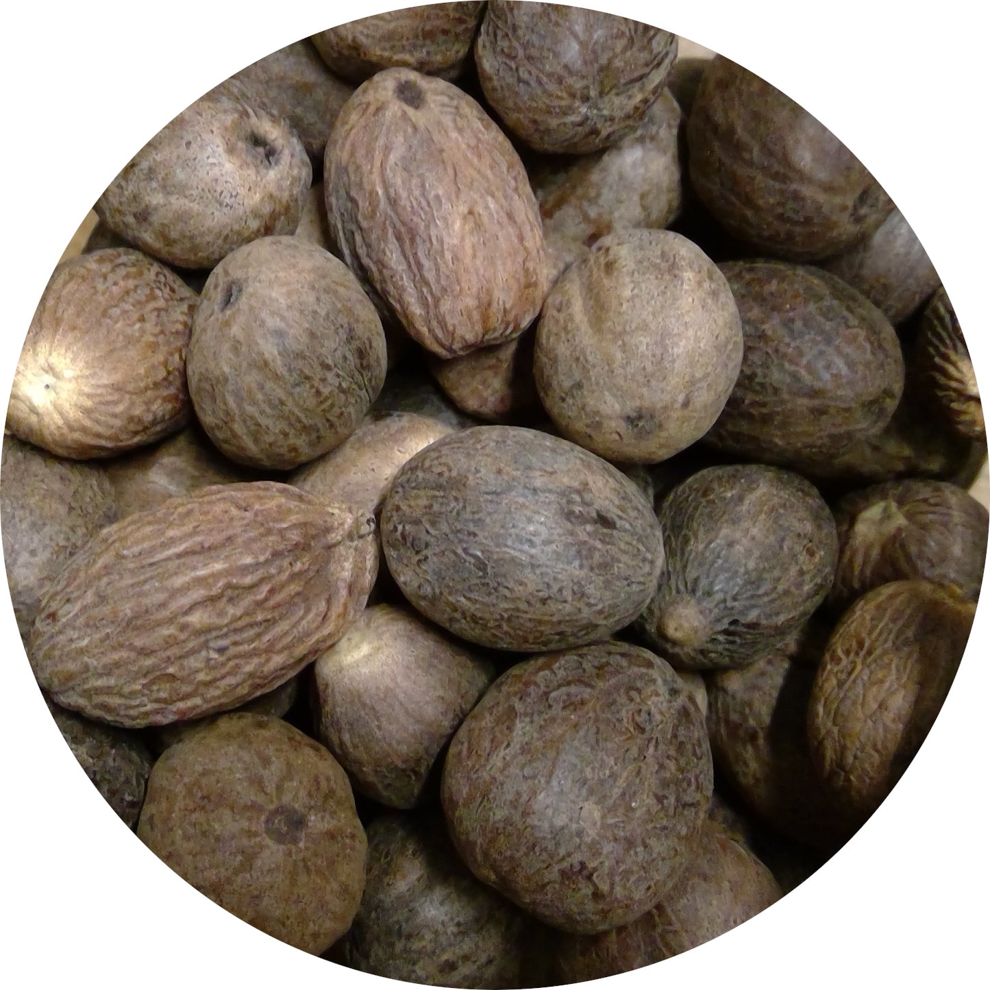 Nutmeg, Organic