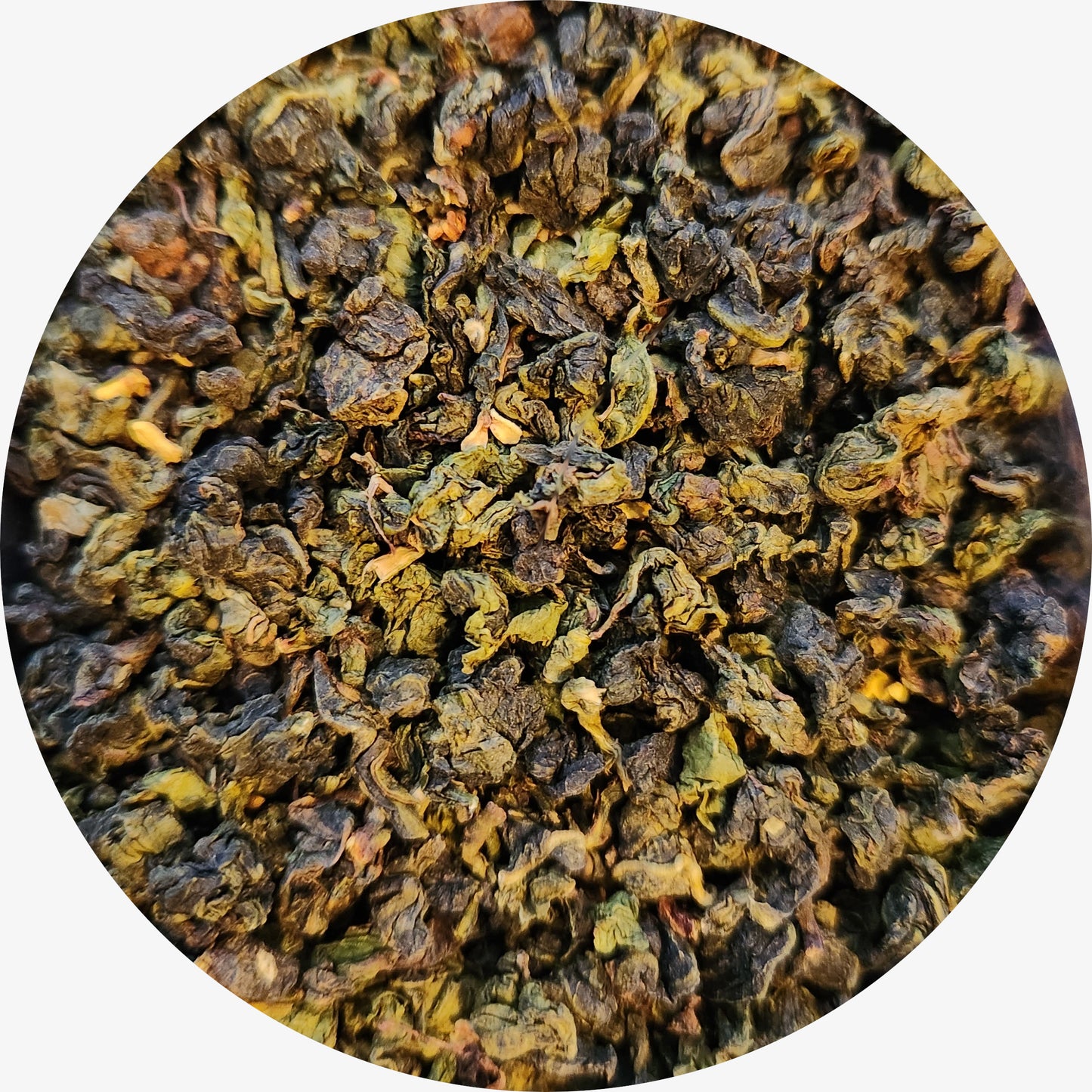 Osmanthus Oolong
