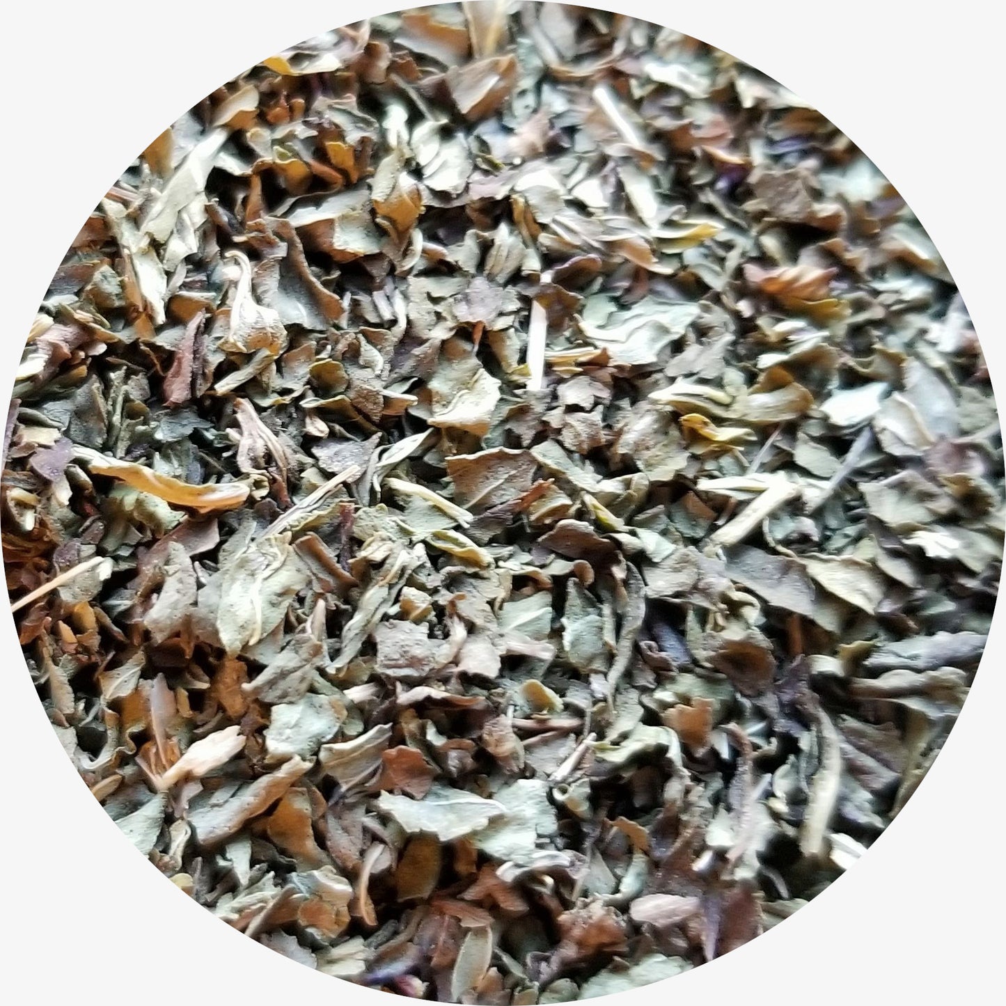 Peppermint, Organic