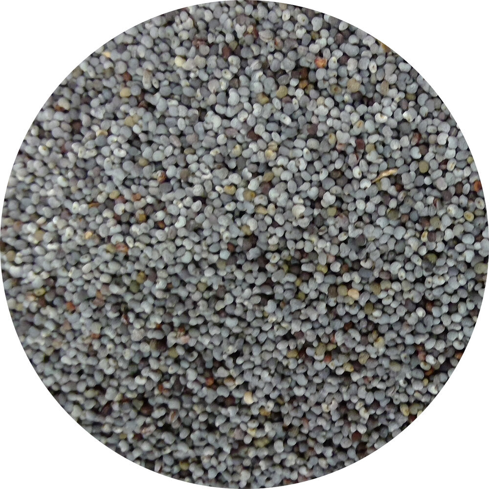 Poppy Seed, Blue, Organic