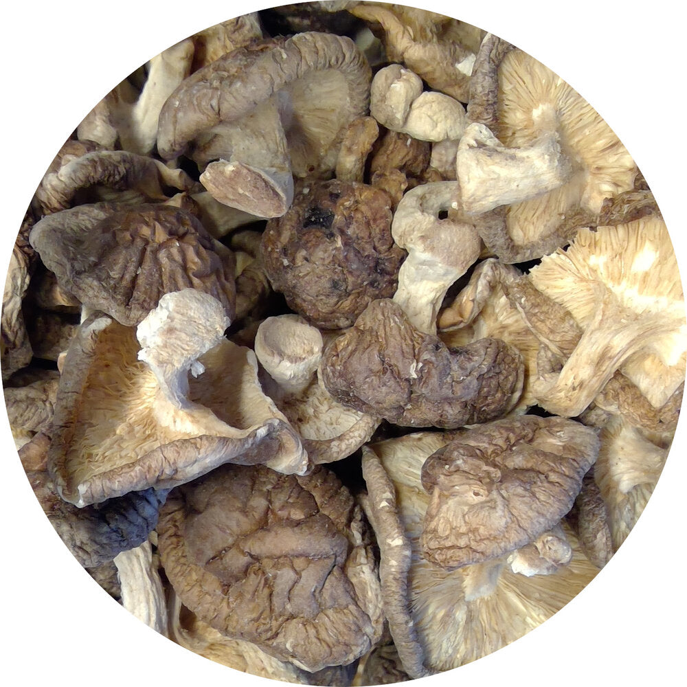 Shiitake Mushrooms, Dried