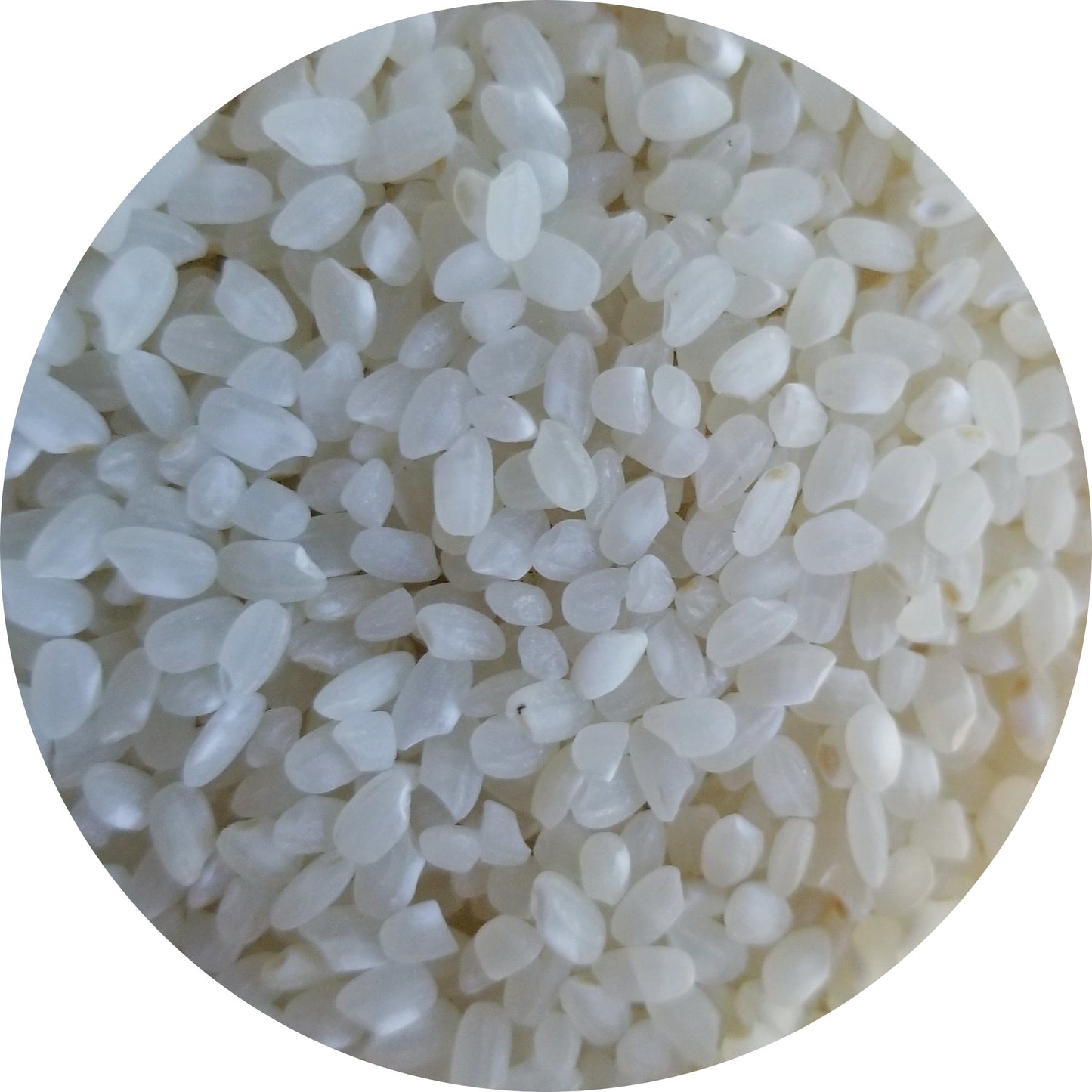 Sushi Rice, Organic