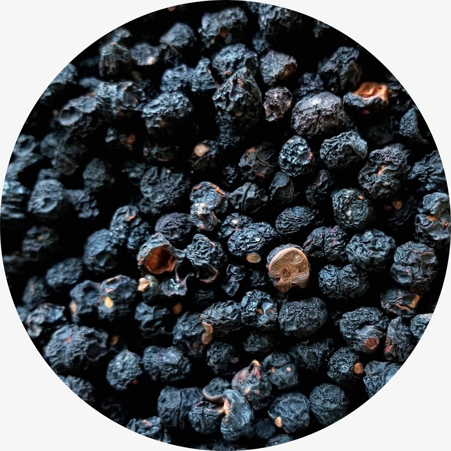 Tasmanian Pepper Berry