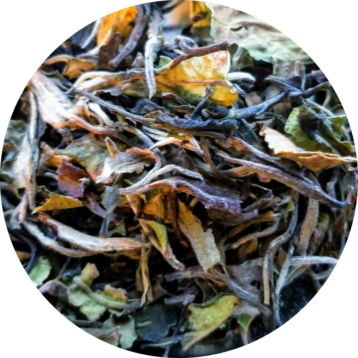 White Earl Grey, Organic