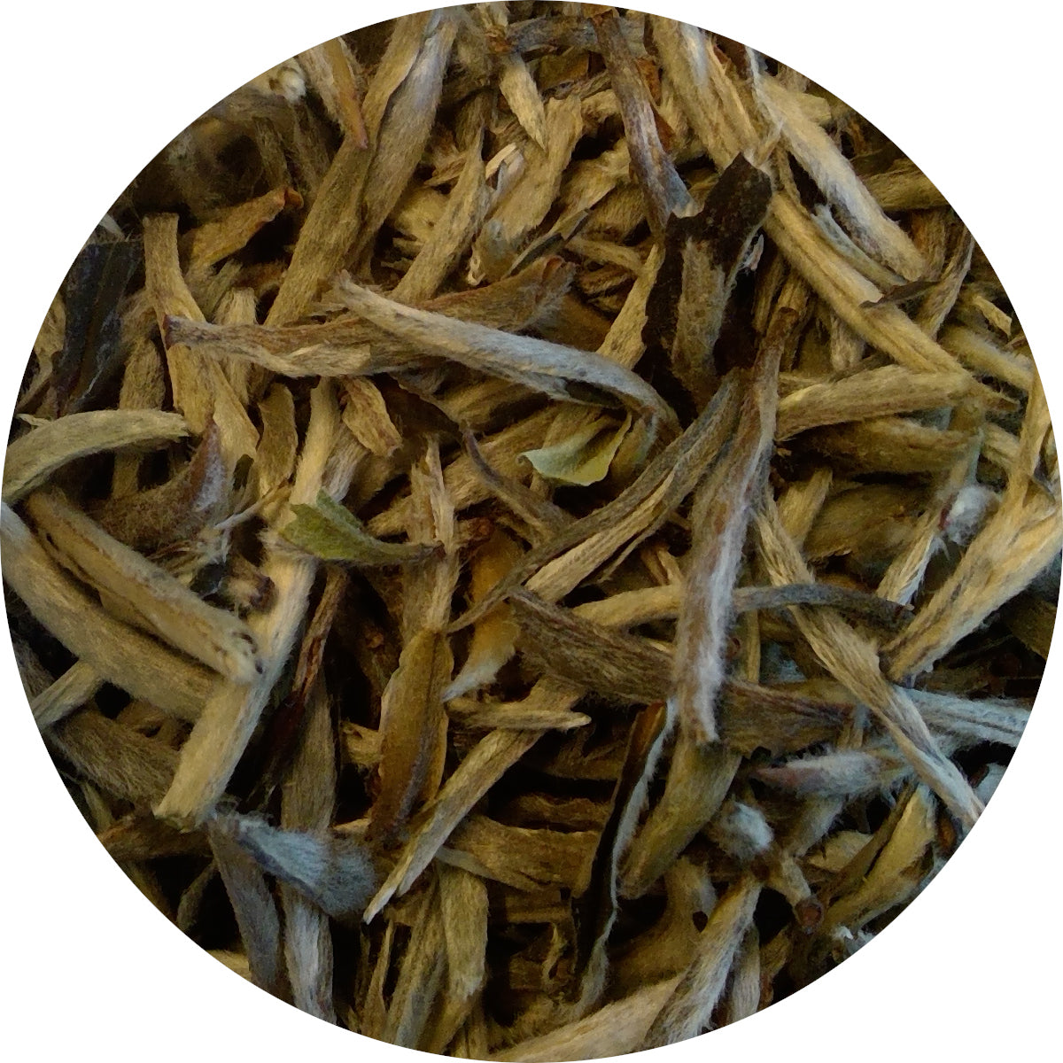 Bai Hao Yin Zhen White Silver Needle, Organic