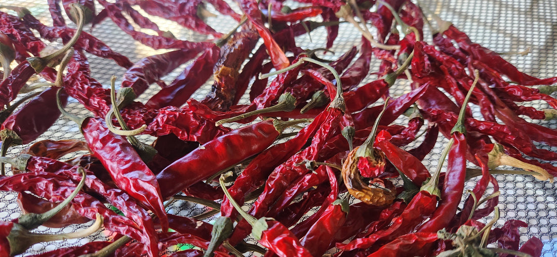 Close up of dried red chiles