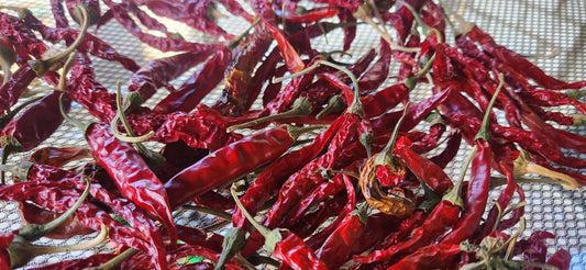 Close up of dried red chiles