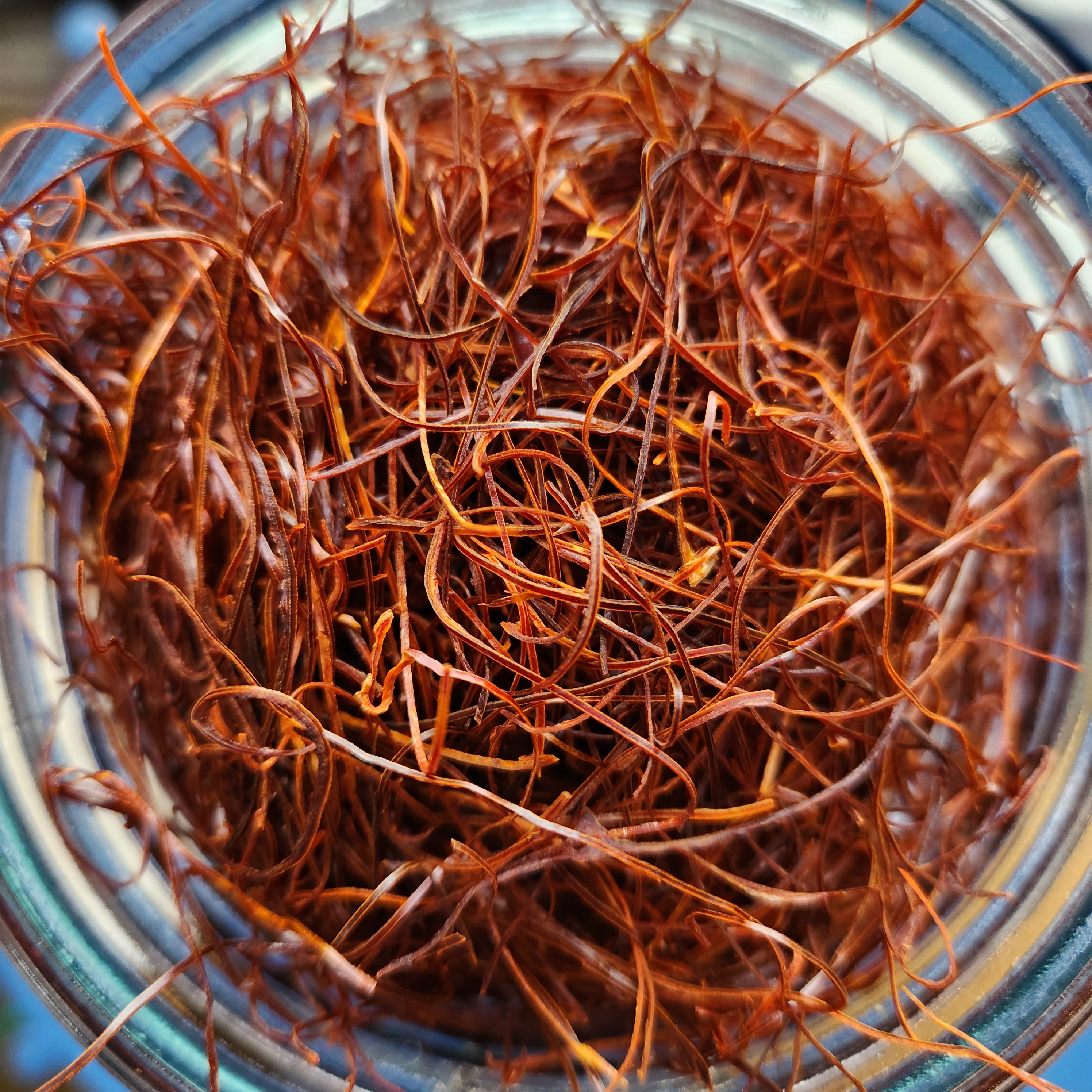 Chile Threads – Suraj Spices & Teas