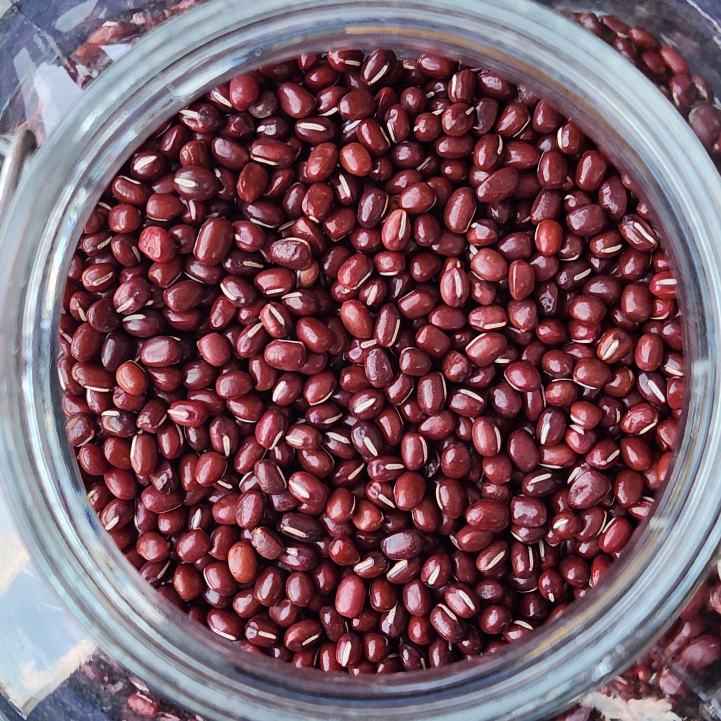 Adzuki Beans, Organic