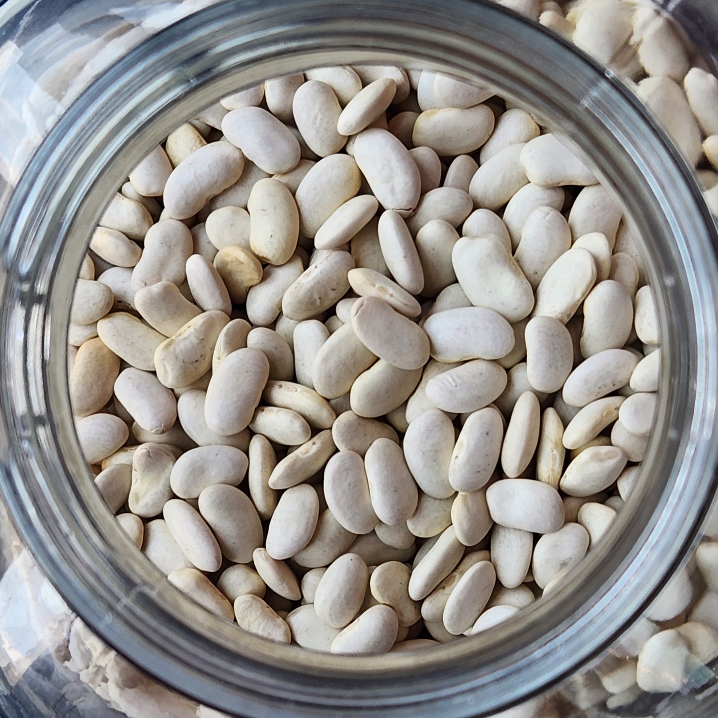 Cannellini Beans, Organic