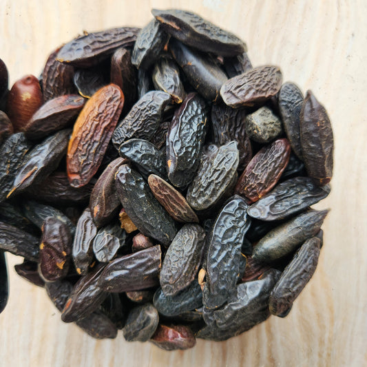 Tonka Beans, Organic