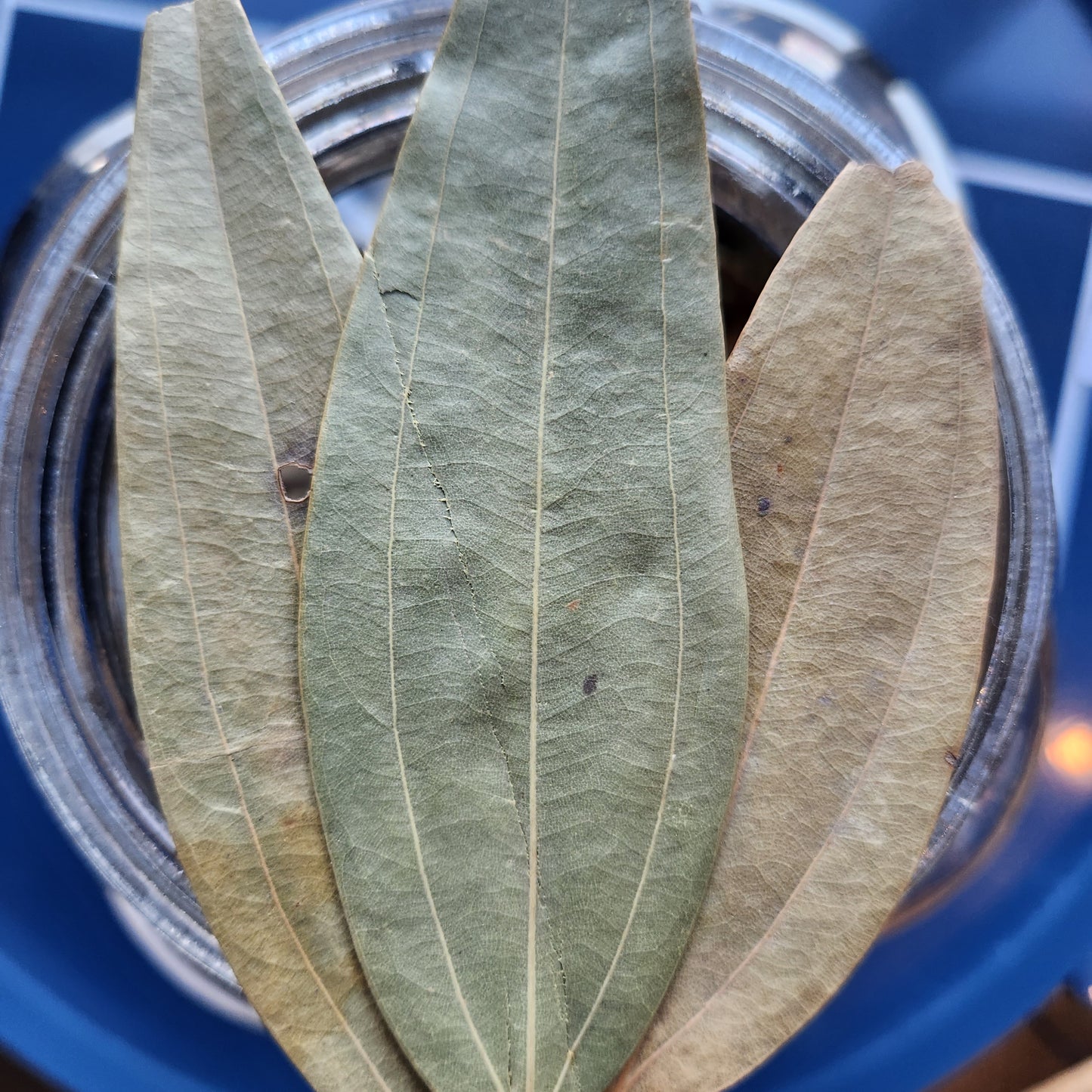 Bay Leaves, Tej Patta,  India, Organic