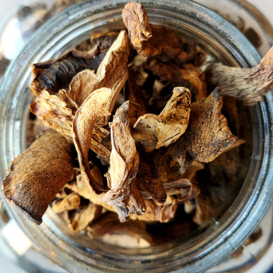 Porcini Mushrooms, Dried