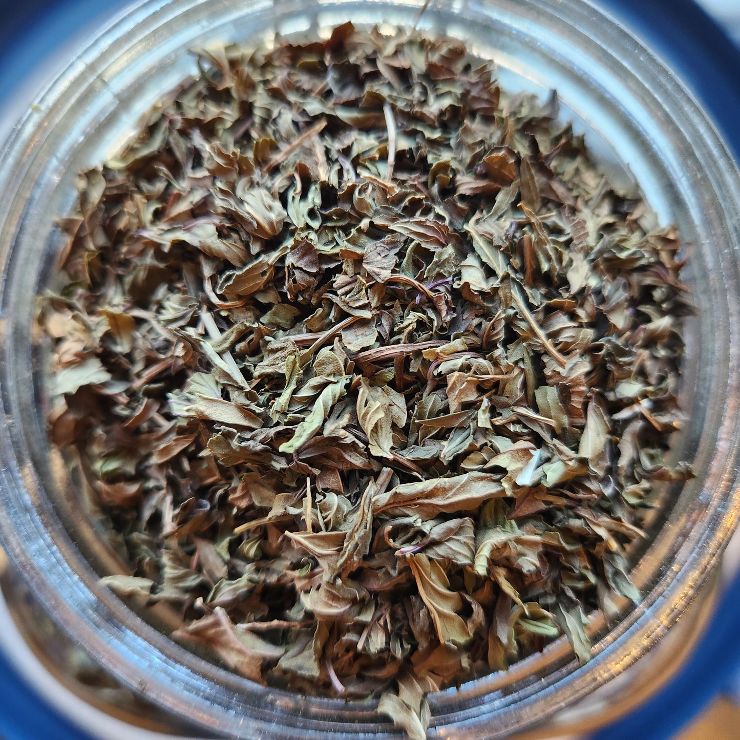 Mint, Uttar Pradesh, India