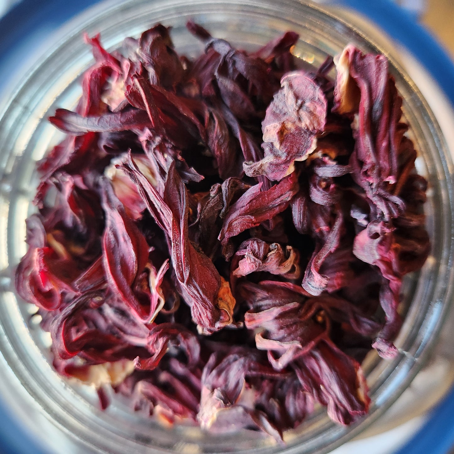 Hibiscus, Uttar Pradesh, India, Organic