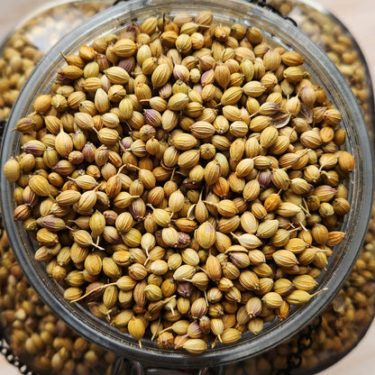 Coriander, Single Origin, India