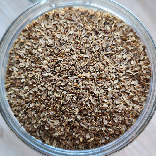 Dill Seed, Organic