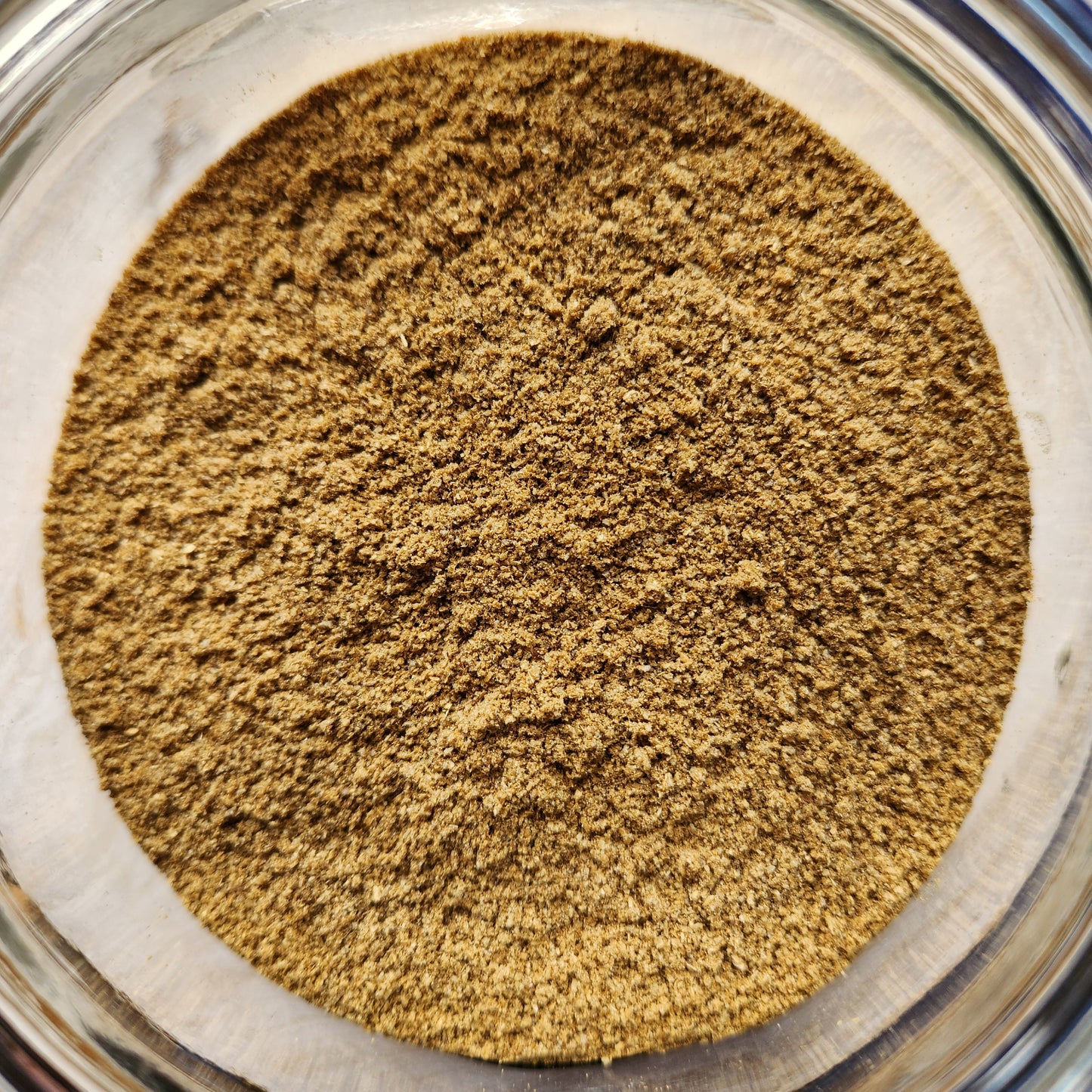 Coriander, Organic