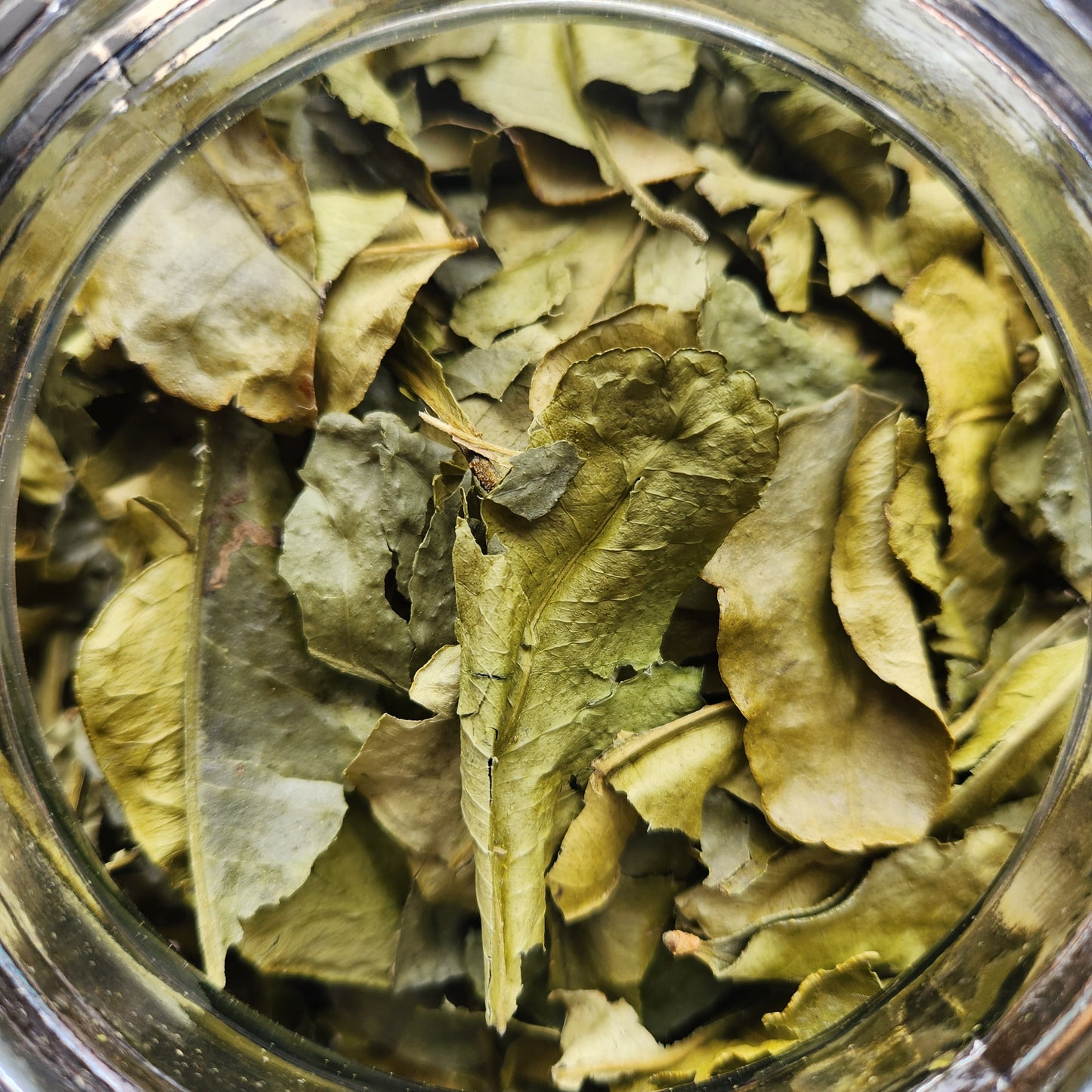 Makrut Lime Leaf