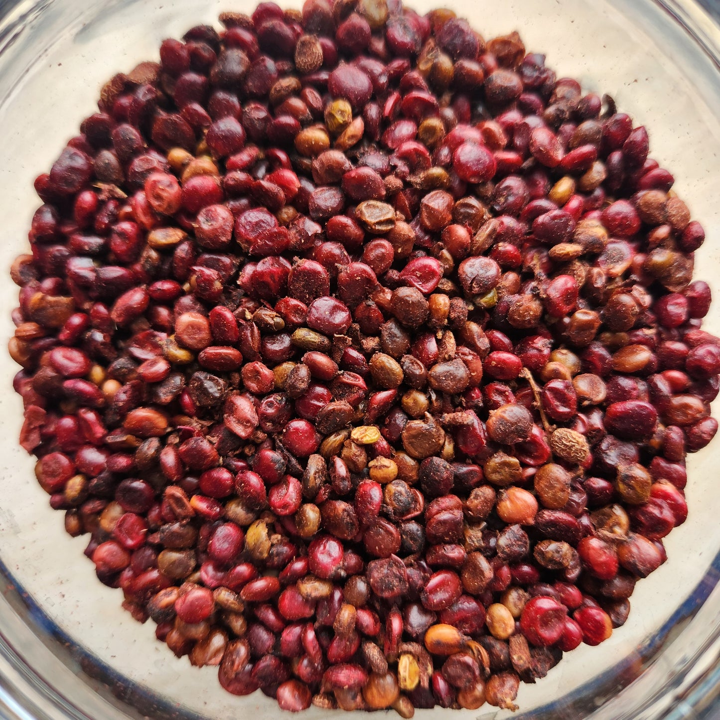 Sumac Berries, Organic