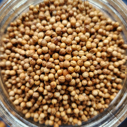 Coriander, Organic