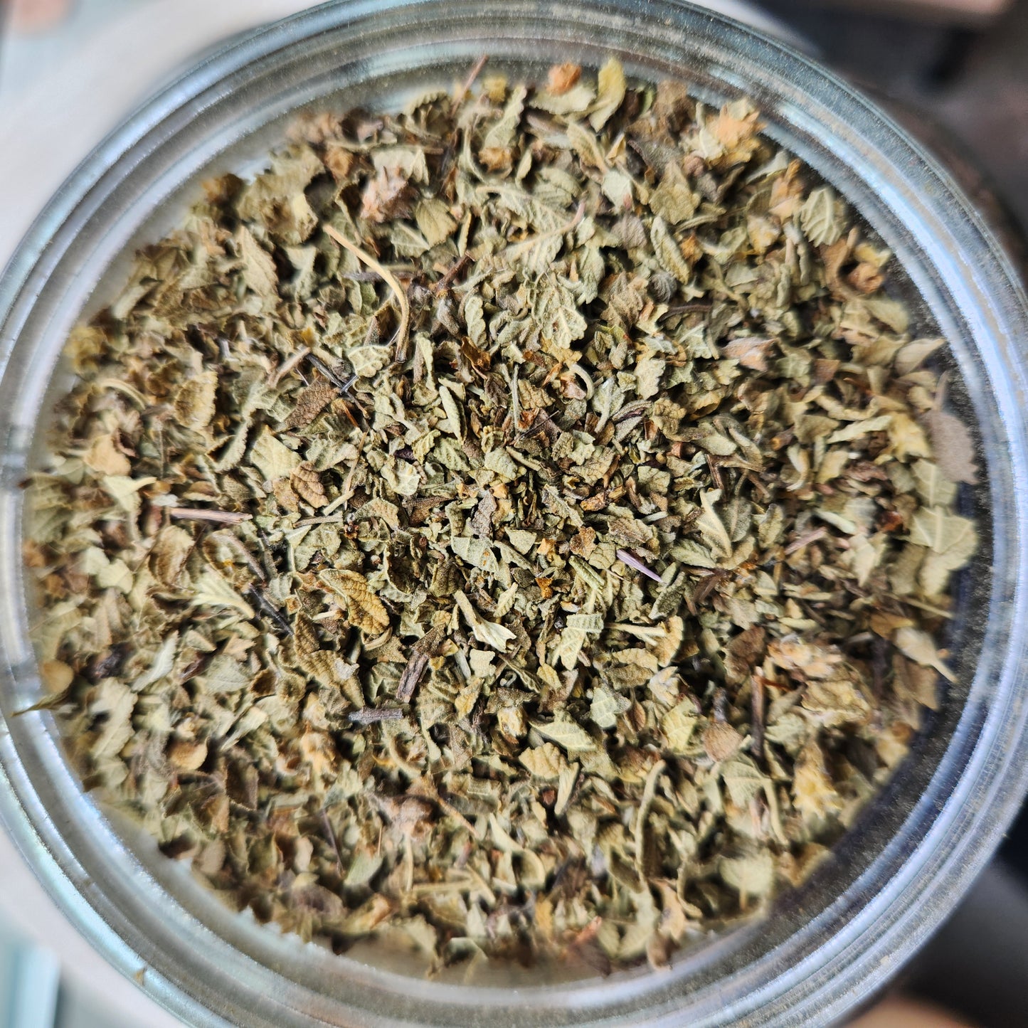 Oregano, Mexico, Organic