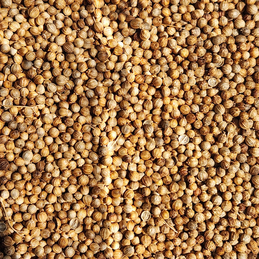 Coriander, Single Origin, Vietnam