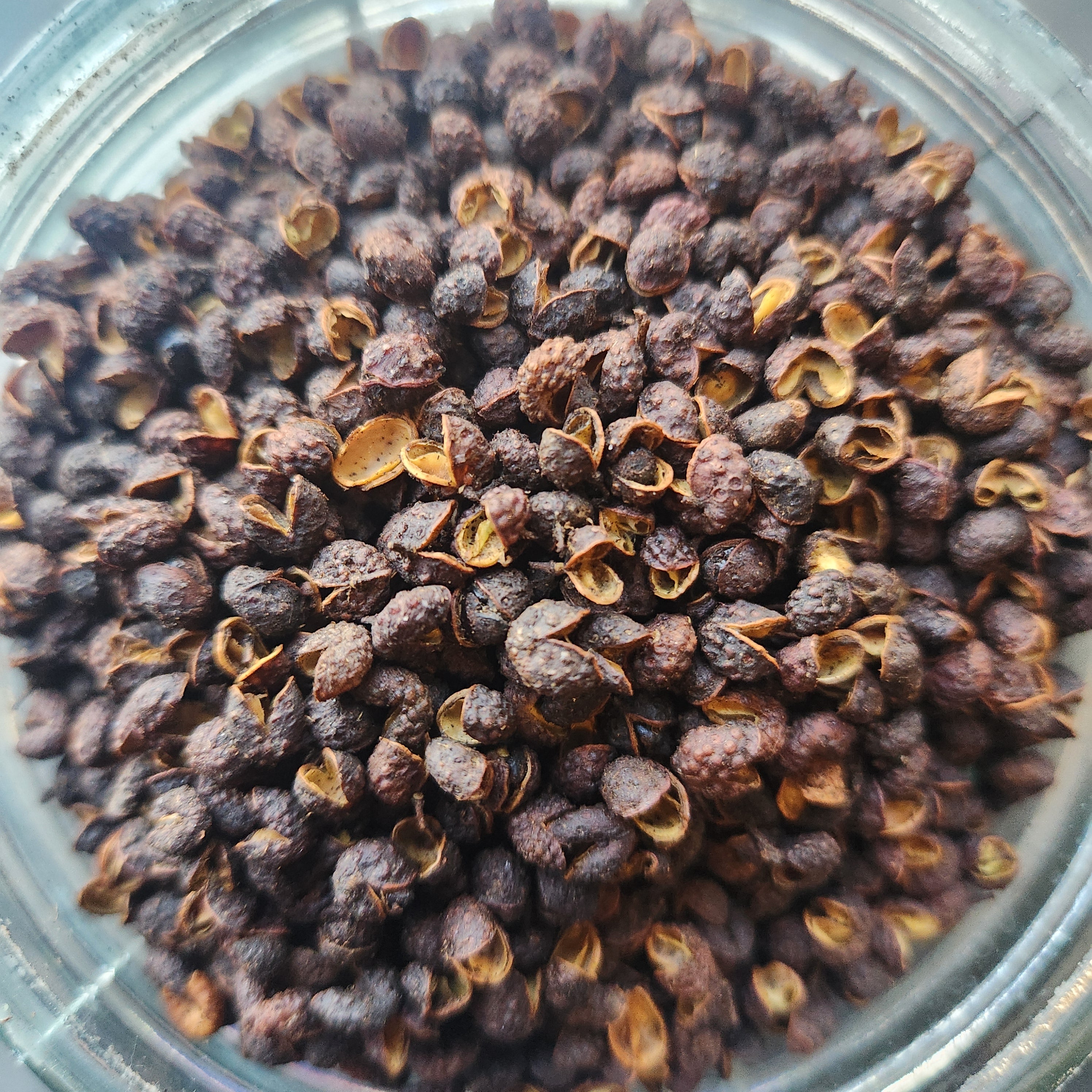 Timur Powder Wild Timur Pepper, Single Origin, Nepal – Suraj Spices & Teas