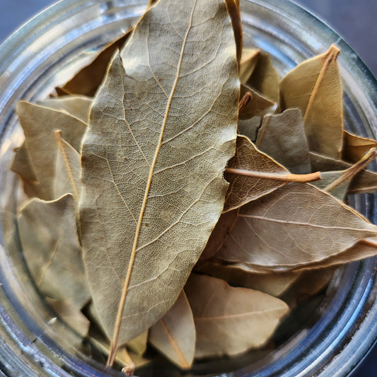 Bay Leaves, Turkey, Organic